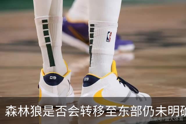 森林狼是否会转移至东部仍未明确