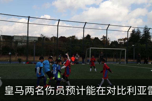 皇马两名伤员预计能在对比利亚雷亚尔时复出